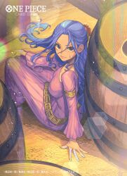 nefertari vivi from one piece