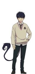 okumura rin from ao no exorcist by oohigashi yurie
