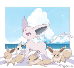 eevee from pokemon