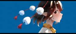 shameimaru aya from touhou