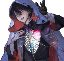kenmochi touya from nijisanji