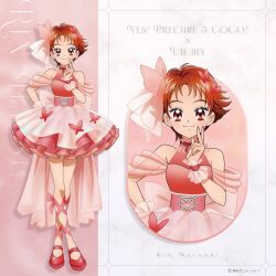 natsuki rin from precure