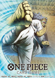 one piece fan art