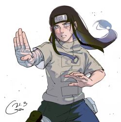hyuuga neji from naruto (classic)