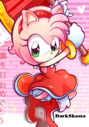 amy rose from sonic (series)