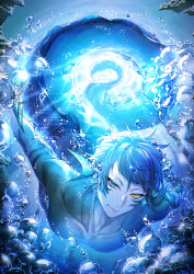 jade leech from twisted wonderland by mitsunari miyako