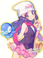 hikari (pokemon) from pokemon