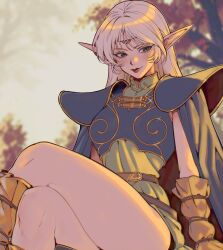 deedlit from record of lodoss war