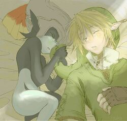 link from nintendo