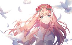 zero two (darling in the franxx) from darling in the franxx
