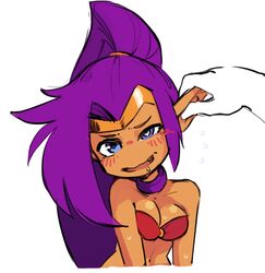 shantae (character) from shantae (series)