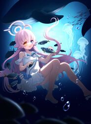 hoshino (blue archive) from blue archive