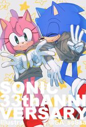 amy rose from sonic (series)