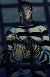 crocodile (one piece) from one piece