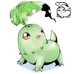 chikorita from digimon