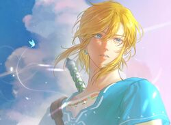 link from the legend of zelda