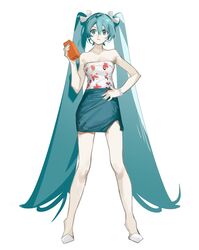 hatsune miku from vocaloid