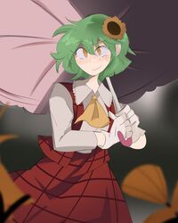 kazami yuuka from touhou by kappce