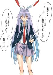 reisen udongein inaba from touhou