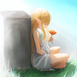 serie (sousou no frieren) from sousou no frieren