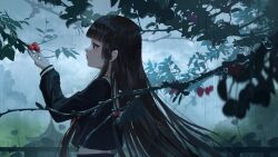 enma ai from jigoku shoujo