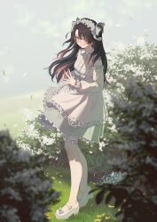 zhezhi (wuthering waves) from wuthering waves by meda