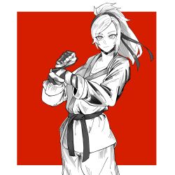 lidia from tekken by kokoro no koibito