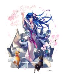 dare ga tame no alchemist fan art