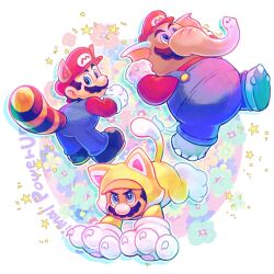 mario from super mario 3d world