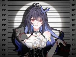 seele (alter ego) from honkai (series)