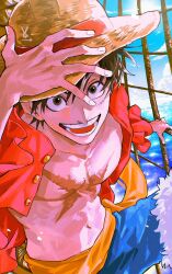 monkey d. luffy from one piece
