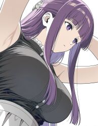 fern (sousou no frieren) from sousou no frieren