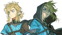link from the legend of zelda