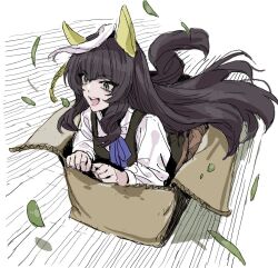 calstone light o (umamusume) from umamusume