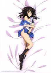 himeragi yukina from strike the blood