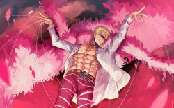 donquixote doflamingo from one piece