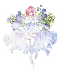 mash kyrielight from fate/grand order
