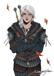 ciri from the witcher (series)