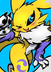 renamon from digimon