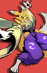 renamon from digimon