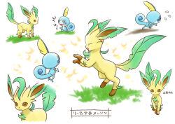 leafeon from pokemon