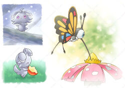 beautifly from pokemon
