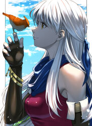 micaiah (fire emblem) from fire emblem by delsaber