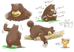 teddiursa from pokemon