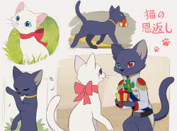 prince lune from neko no ongaeshi