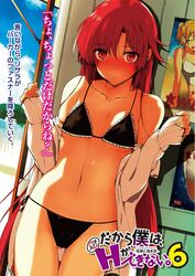 lisara restall from dakara boku wa h ga dekinai by katsurai yoshiaki