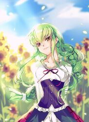c.c. from code geass by meimi k
