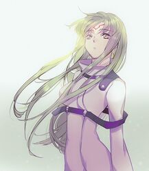 c.c. from code geass by meimi k