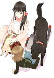Booru post from safebooru.org