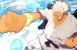 one piece fan art